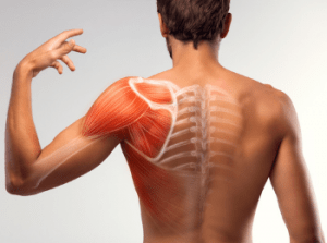 Shoulder Conditions